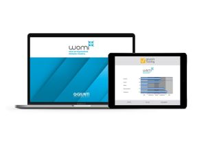 WOMI Cuestionario de Motivación Organizacional y Laboral
